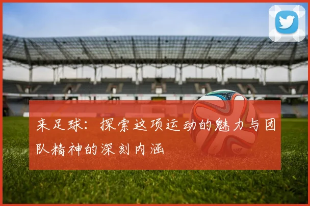 来足球：探索这项运动的魅力与团队精神的深刻内涵
