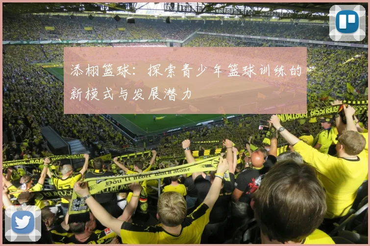 添栩篮球:探索青少年篮球训练的新模式与发展潜力