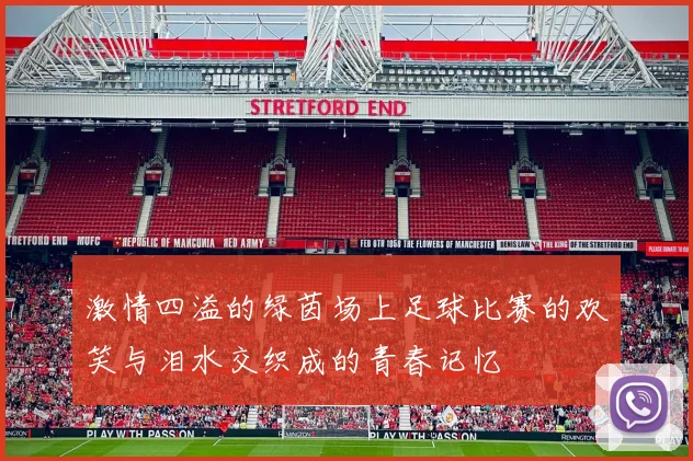 激情四溢的绿茵场上足球比赛的欢笑与泪水交织成的青春记忆