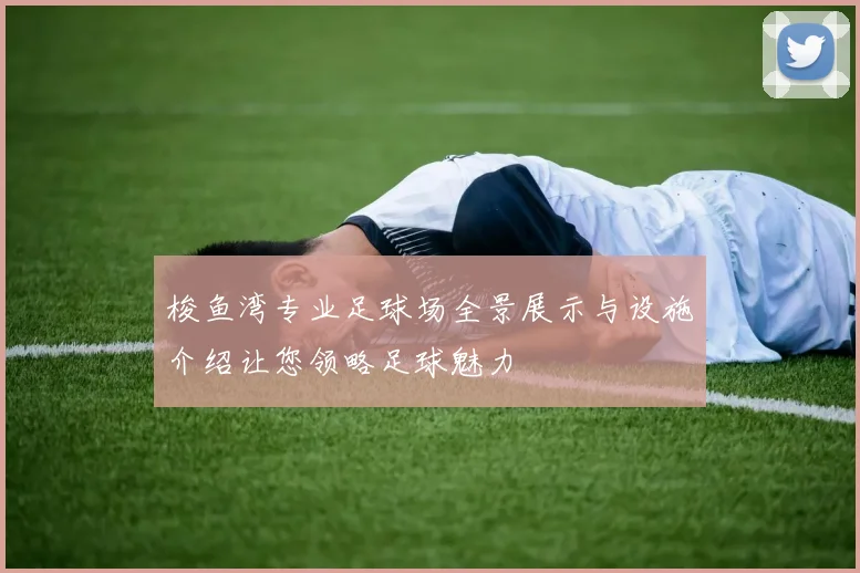 梭鱼湾专业足球场全景展示与设施介绍让您领略足球魅力