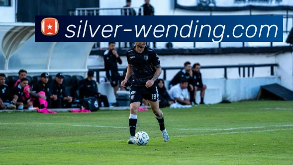 问鼎娱乐平台生态图