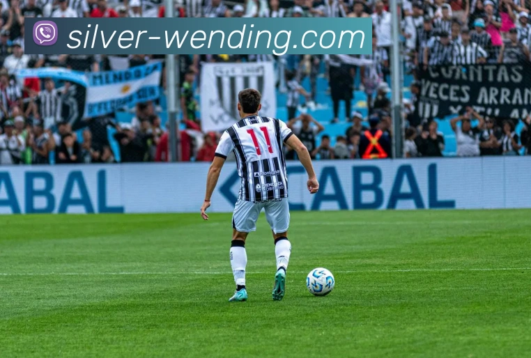 问鼎娱乐APP 封面图